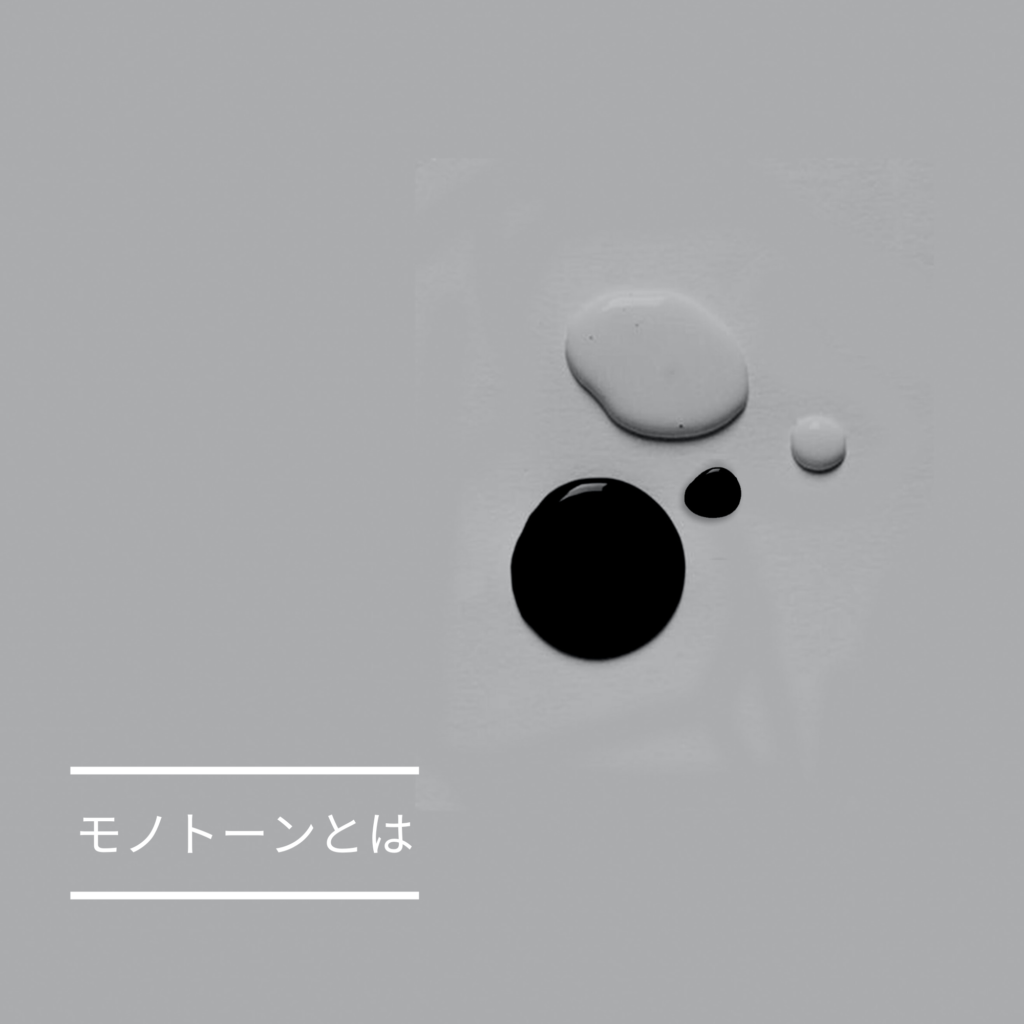 モノトーン と は